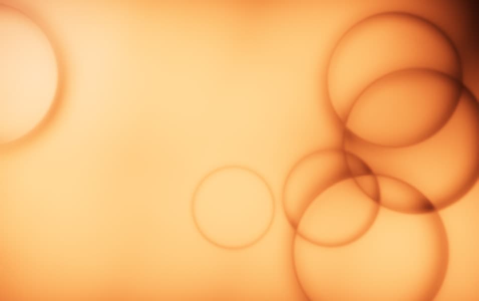 Featured image for Wissenschaftlich belegte Lerntechniken für Studenten 2025